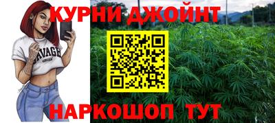 гашик Нарткала