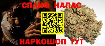 гашик Нарткала