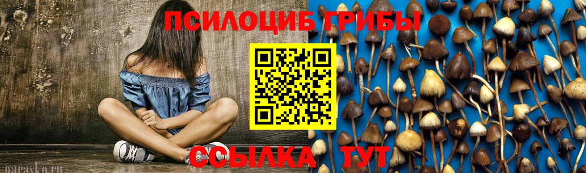 Галлюциногенные грибы ЛСД  Кубинка  Псилоцибиновые грибы Psilocybine cubensis 