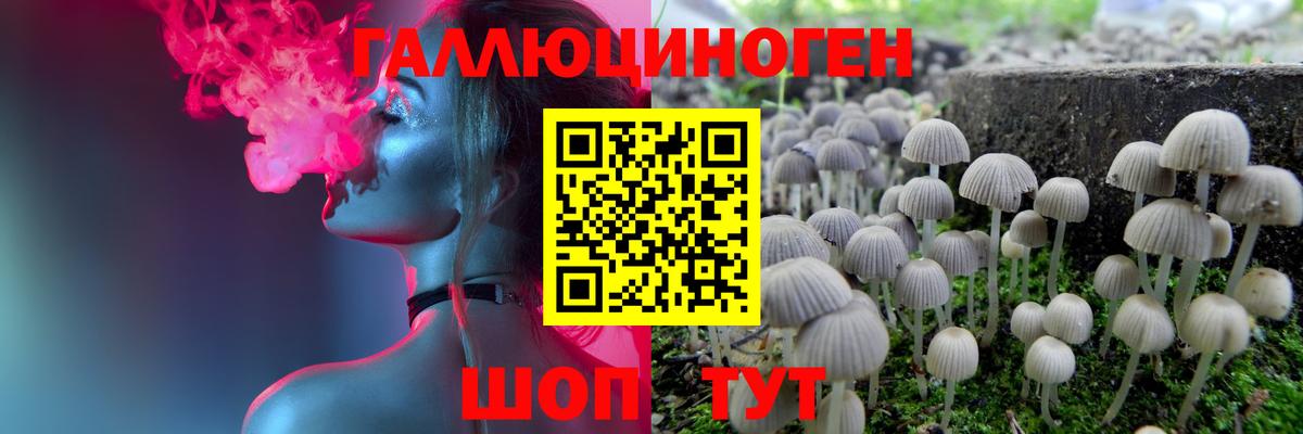 Псилоцибиновые грибы мухоморы Кубинка